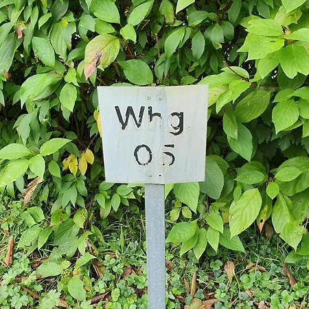 Ferienwohnung Fuer 5 Personen In Wasserburg Eksteriør billede