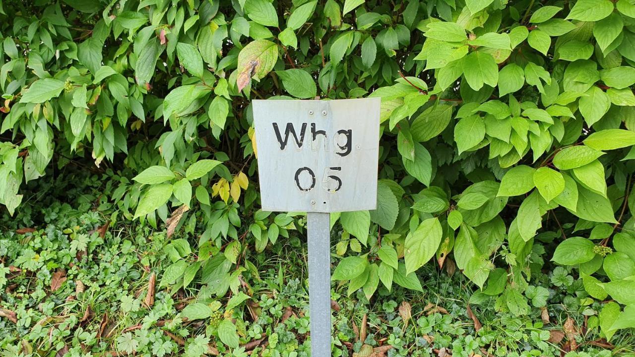 Fuer 5 Personen In Apartment Wasserburg am Bodensee
